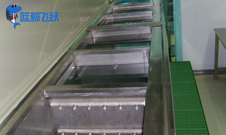 青青草网站下载：精密清洗新时代的独特利器