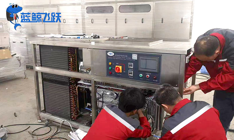 肇庆青青草网站下载优质供应商推荐与选购指南